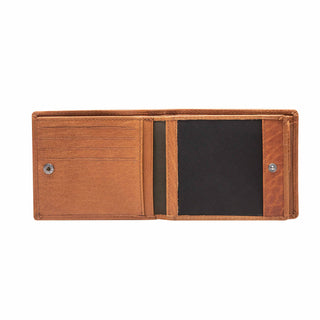 color:cognac_ansicht:000000000000005_dokar:Z07_dokar-text:online inhalt