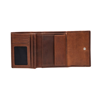 color:cognac_ansicht:000000000000004_dokar:Z07_dokar-text:online inhalt