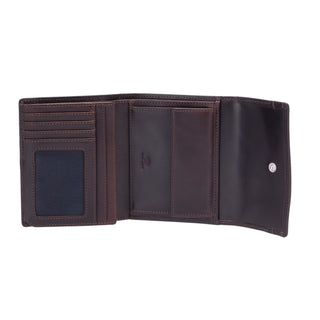 color:seal brown_ansicht:000000000000004_dokar:Z07_dokar-text:online inhalt