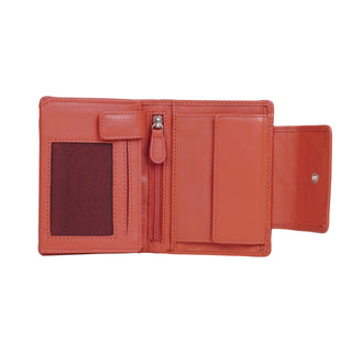 color:coral_ansicht:000000000000004_dokar:Z07_dokar-text:online inhalt