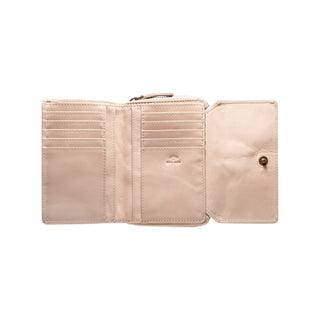 color:fungi_ansicht:000000000000004_dokar:Z07_dokar-text:online inhalt