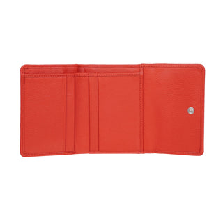 color:coral_ansicht:000000000000004_dokar:Z07_dokar-text:online inhalt