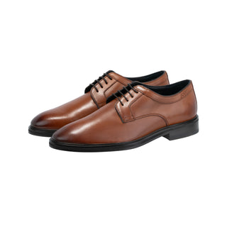 color:cognac_ansicht:000000000000002_dokar:Z07_dokar-text:online inhalt