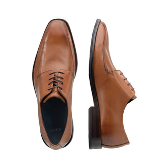 color:cognac_ansicht:000000000000003_dokar:Z07_dokar-text:online inhalt
