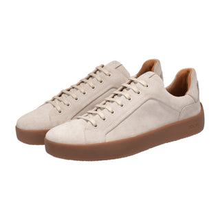 color:beige_ansicht:000000000000002_dokar:Z07_dokar-text:online inhalt