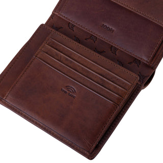 color:cognac_ansicht:000000000000006_dokar:Z07_dokar-text:online inhalt