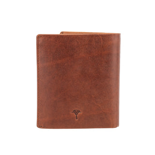 color:cognac_ansicht:000000000000003_dokar:Z07_dokar-text:online inhalt