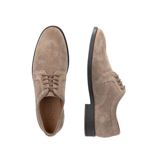 color:fungi_ansicht:000000000000003_dokar:Z07_dokar-text:online inhalt