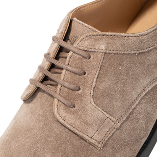 color:fungi_ansicht:000000000000006_dokar:Z07_dokar-text:online inhalt