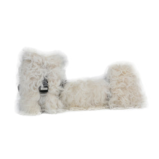 color:reines weiß_ansicht:000000000000002_dokar:Z07_dokar-text:online inhalt